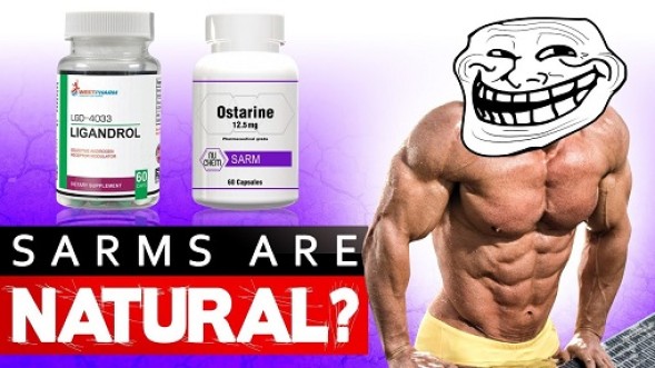 Can Steroid Gains Be Permanent