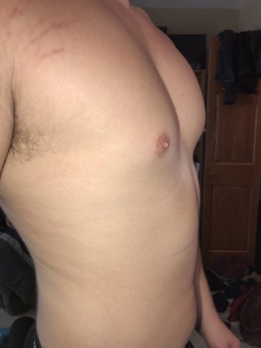 Need Help Defining Lower Chest - Muscular Strength